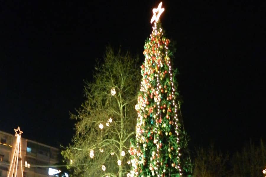 «Δέντρο της Αγάπης», Πλατεία Ελευθερίας, Σέρρες, 18-12-2011